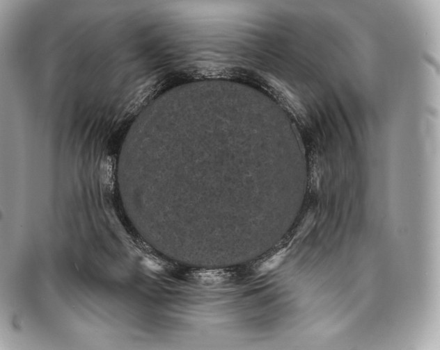 X0000095110121200712211329