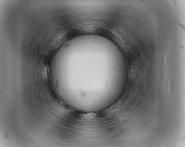 X0000095110122200712211329