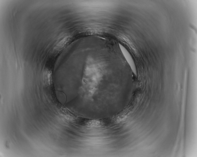 X0000095110123200712211329