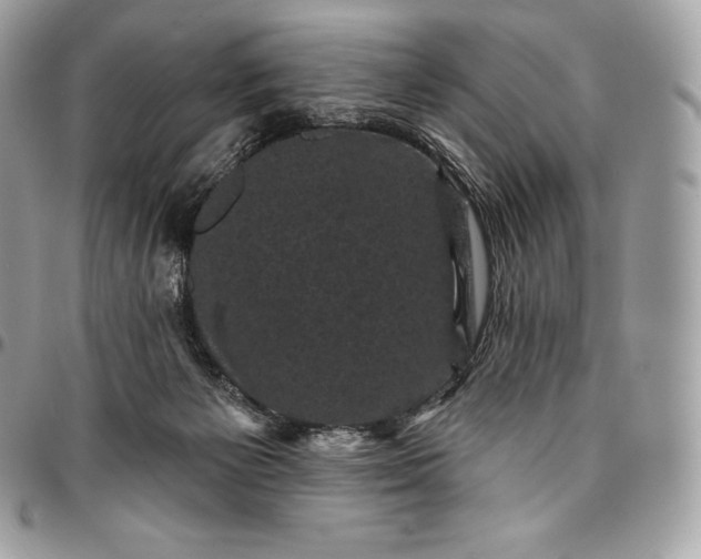 X0000095110125200712211329