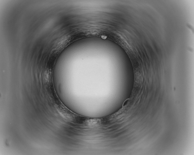 X0000095110126200712211329