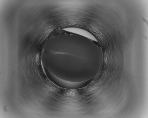 X0000095110127200712211329