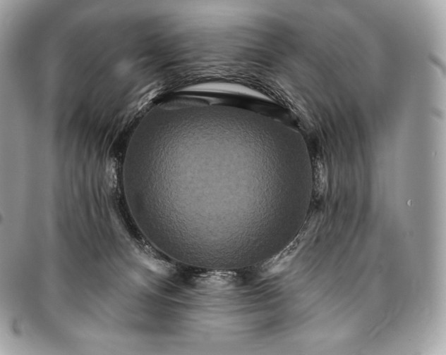 X0000095110128200712211329