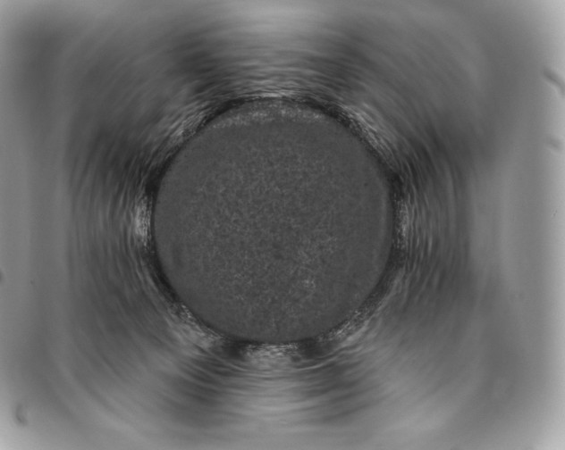 X0000095110129200712211329