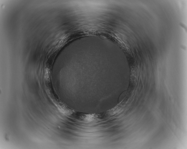 X0000095110130200712211329