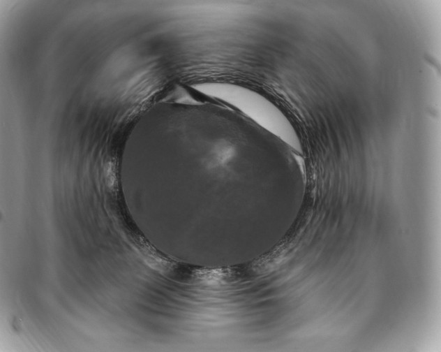 X0000095110131200712211329