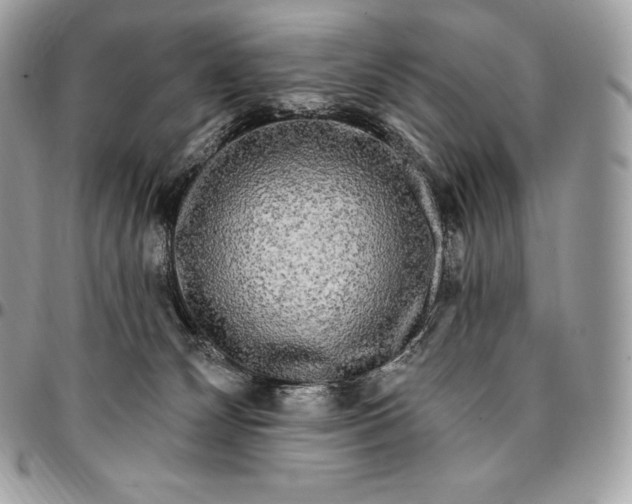 X0000095110132200712211329