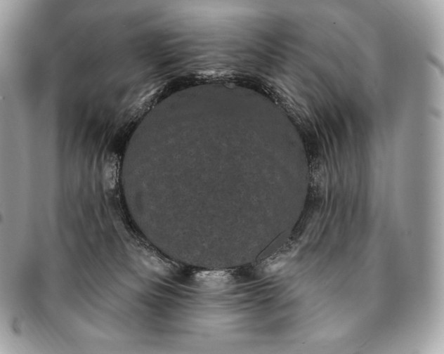 X0000095110133200712211329