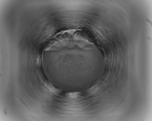 X0000095110134200712211329