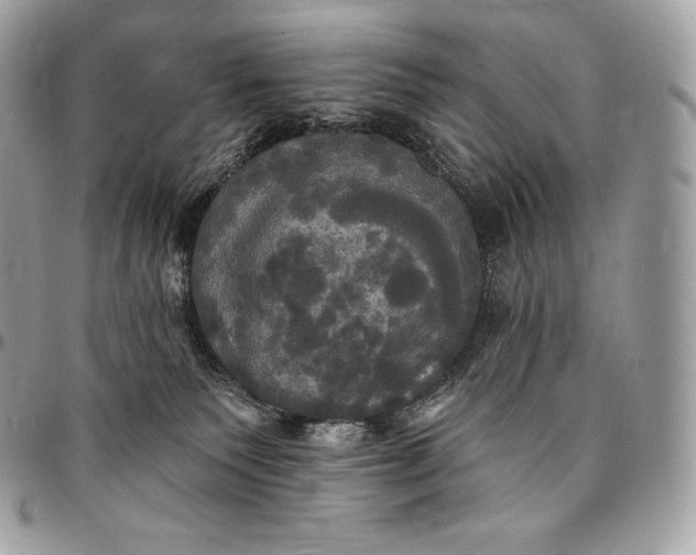 X0000095110135200712211329