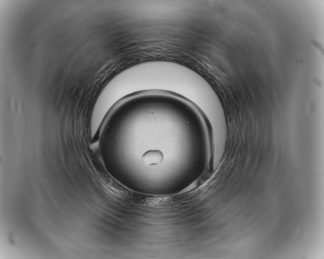 X0000095110136200712211329