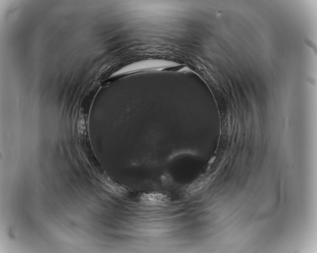 X0000095110137200712211329