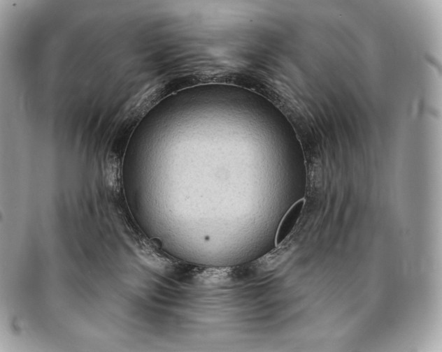 X0000095110138200712211329