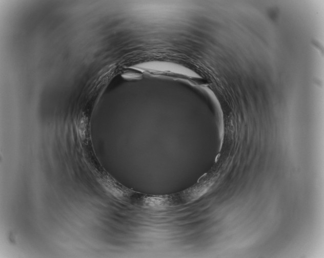 X0000095110139200712211329