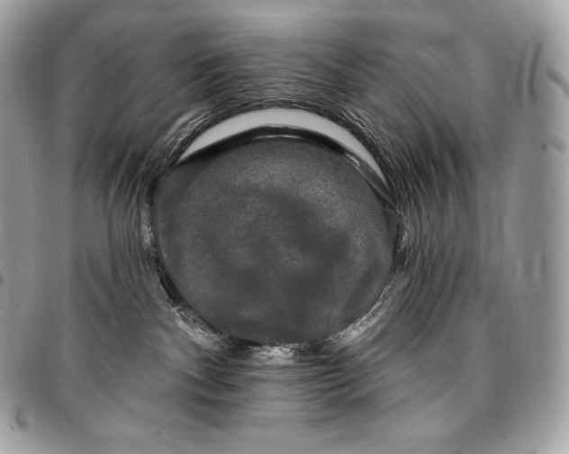 X0000095110140200712211329