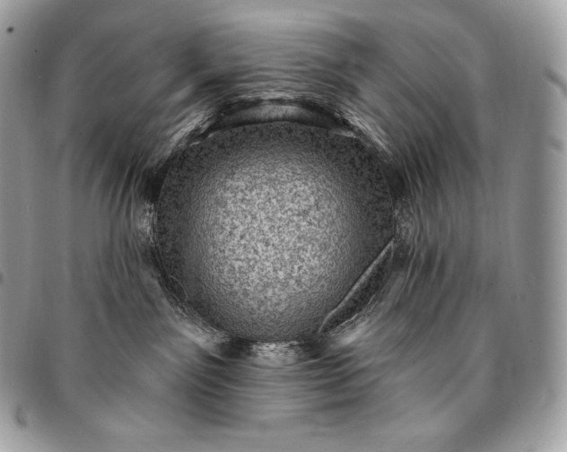 X0000095110141200712211329