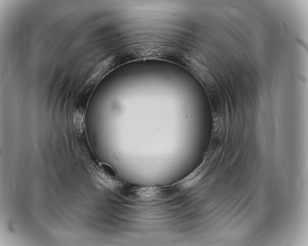 X0000095110142200712211329