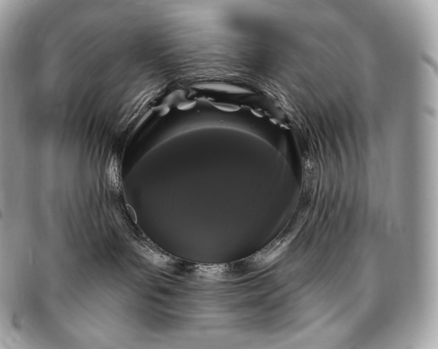 X0000095110143200712211329