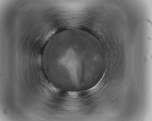 X0000095110144200712211329