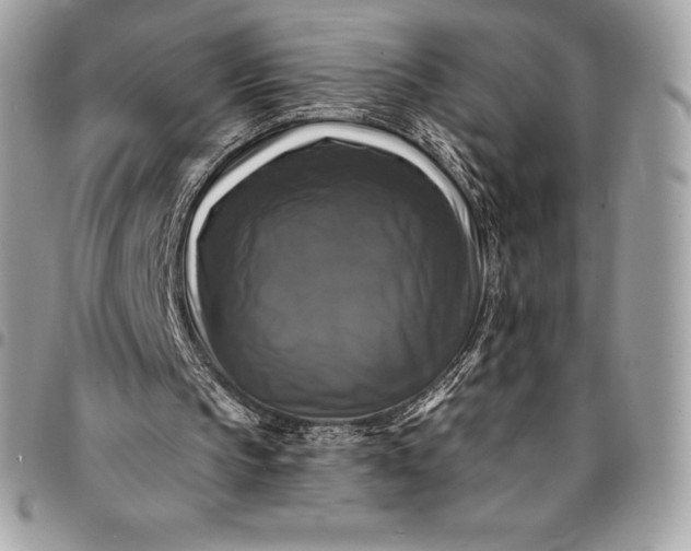 X0000095110145200712211328