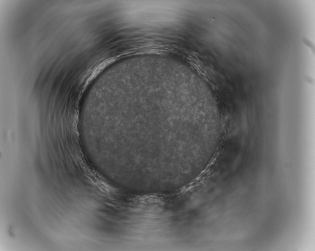 X0000095110146200712211328