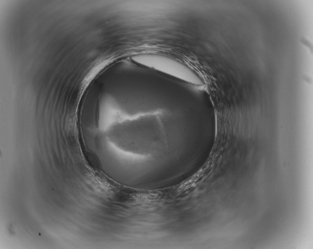 X0000095110147200712211328