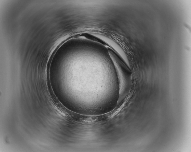 X0000095110148200712211328