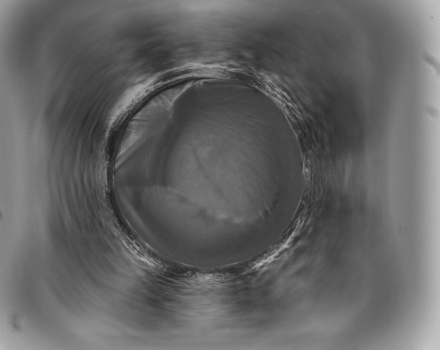 X0000095110149200712211328