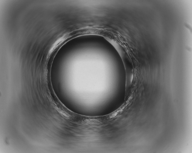 X0000095110150200712211328