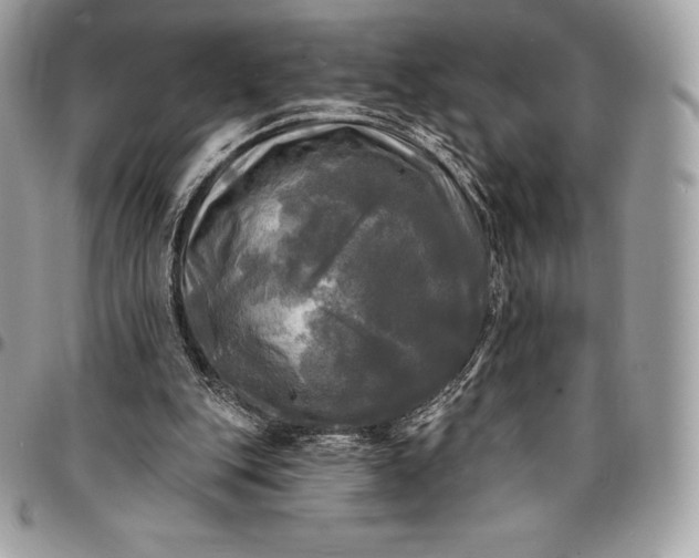 X0000095110151200712211328