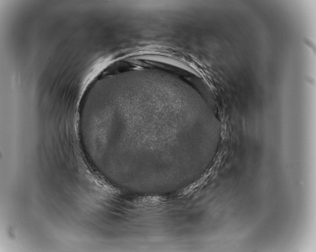 X0000095110152200712211328