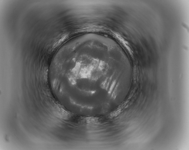 X0000095110153200712211328