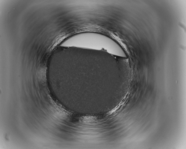 X0000095110154200712211328