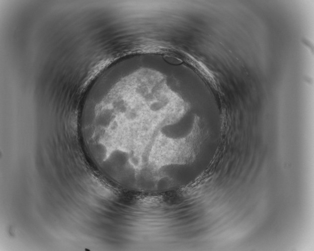 X0000095110155200712211328