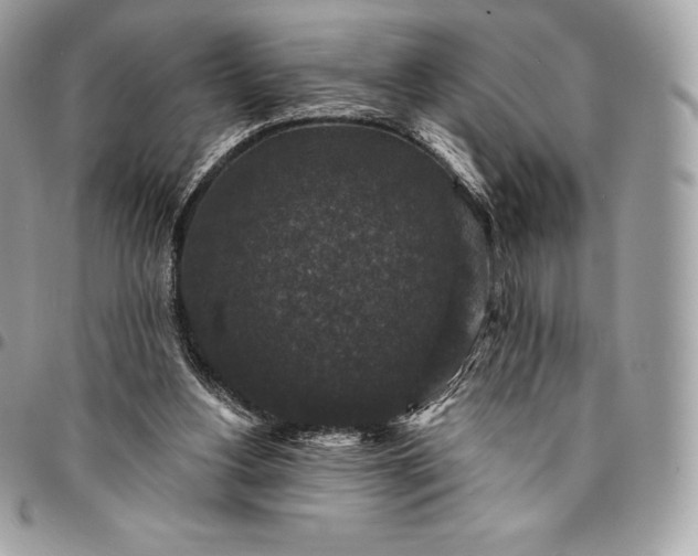 X0000095110156200712211328