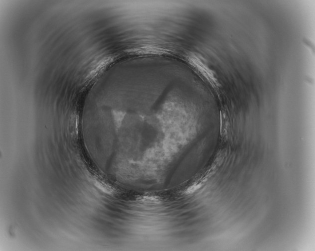 X0000095110157200712211328