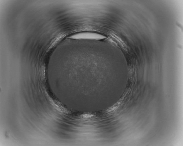 X0000095110158200712211328