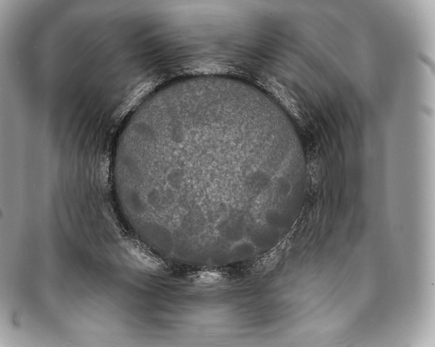 X0000095110159200712211328