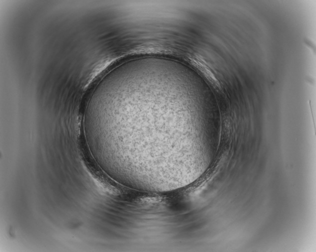 X0000095110160200712211328