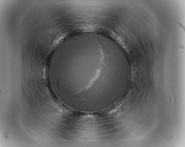 X0000095110161200712211328