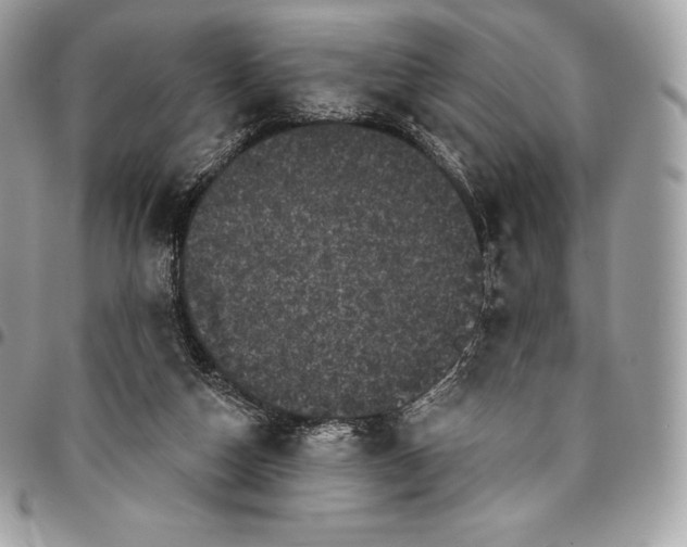 X0000095110162200712211328