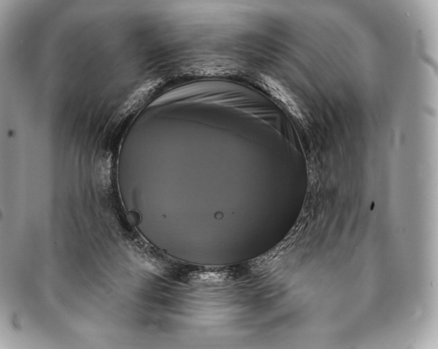 X0000095110163200712211328