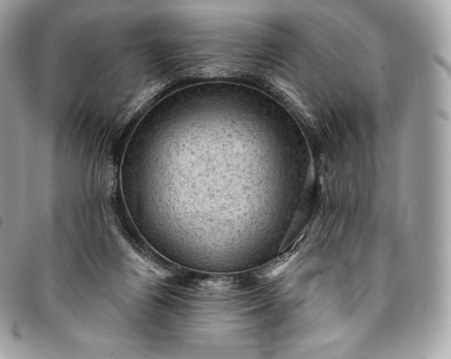 X0000095110164200712211328