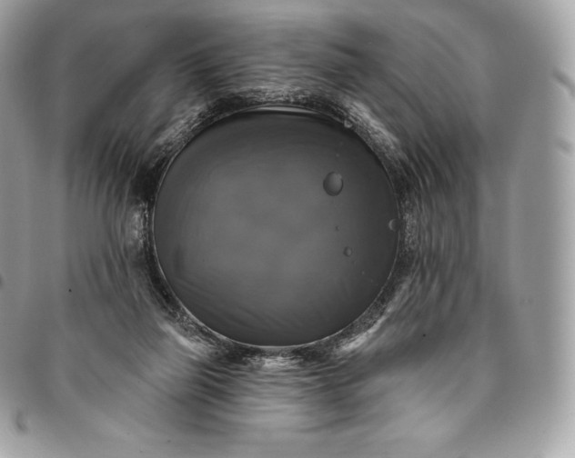 X0000095110165200712211328