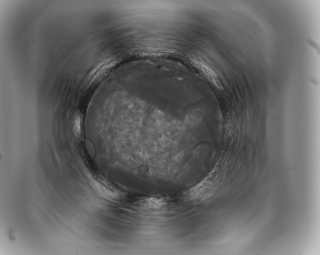 X0000095110166200712211328