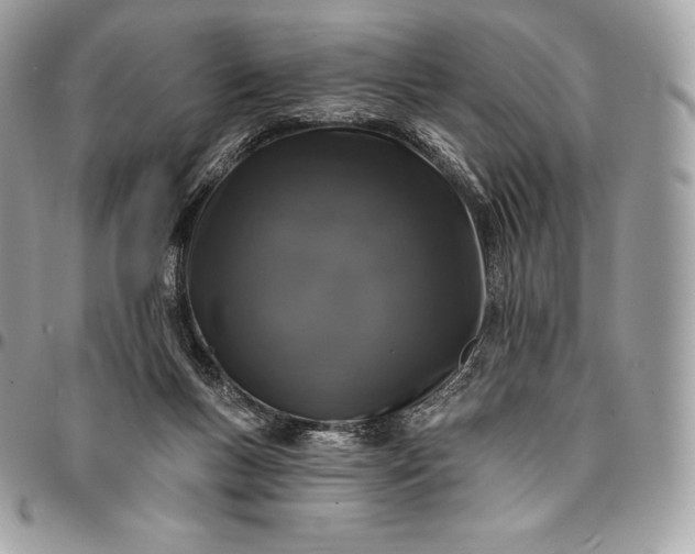 X0000095110167200712211328