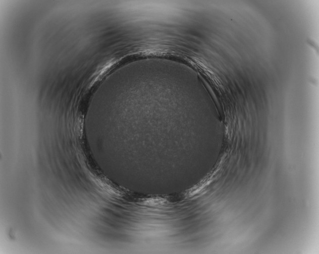 X0000095110168200712211328