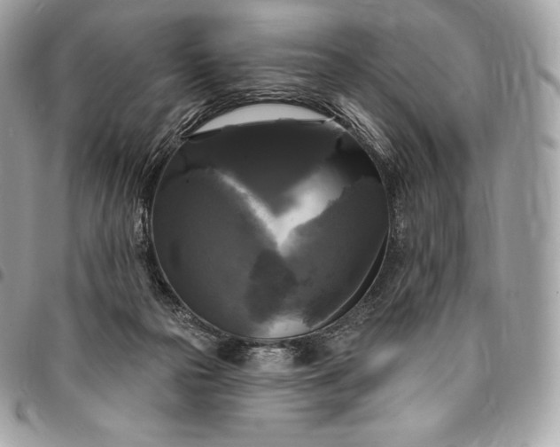 X0000095110169200712211328