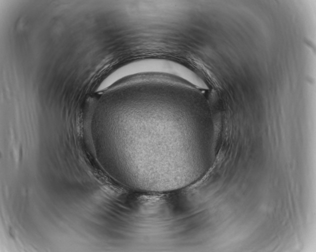 X0000095110170200712211328