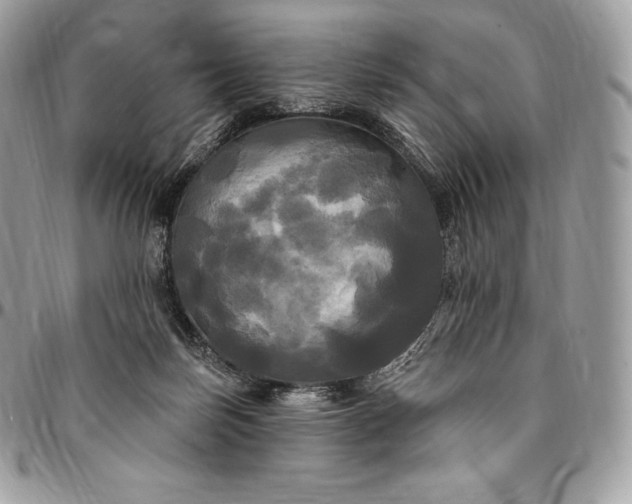 X0000095110171200712211328